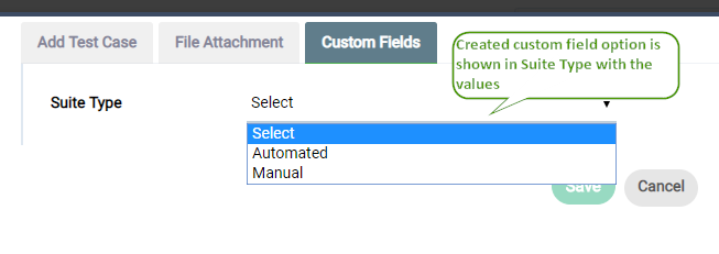Created Custom field appearing in Suite type