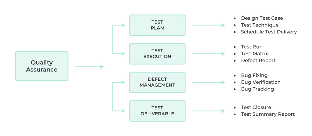 roles and responsibilities of QA