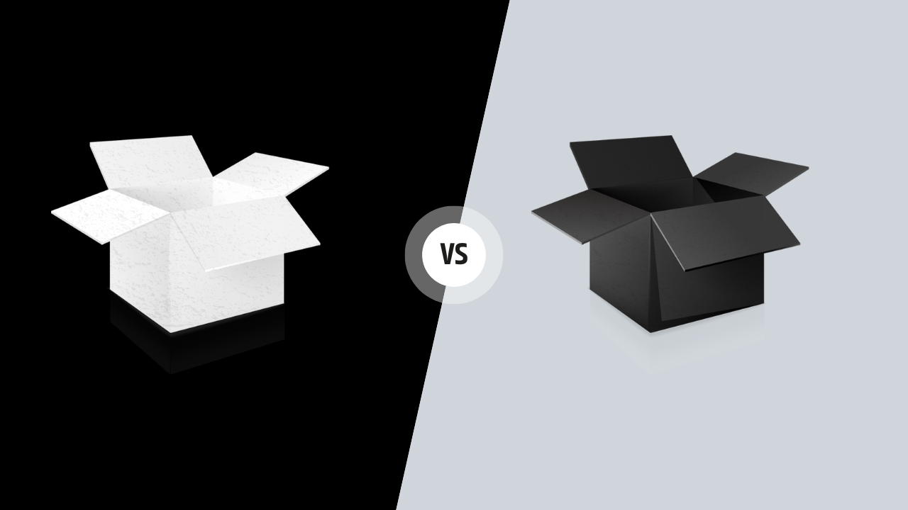 Black box vs white box testing