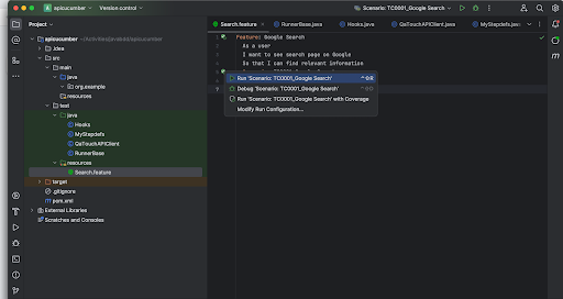 Run the Test in the Feature file