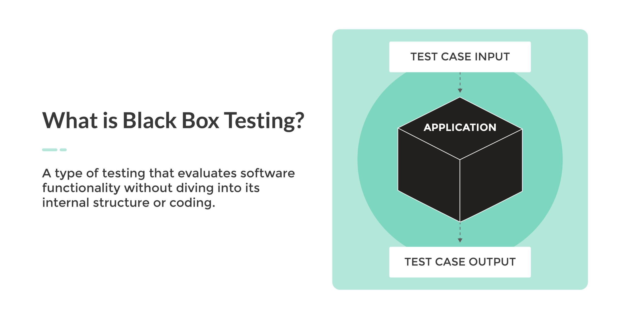 Definition of black box testing 