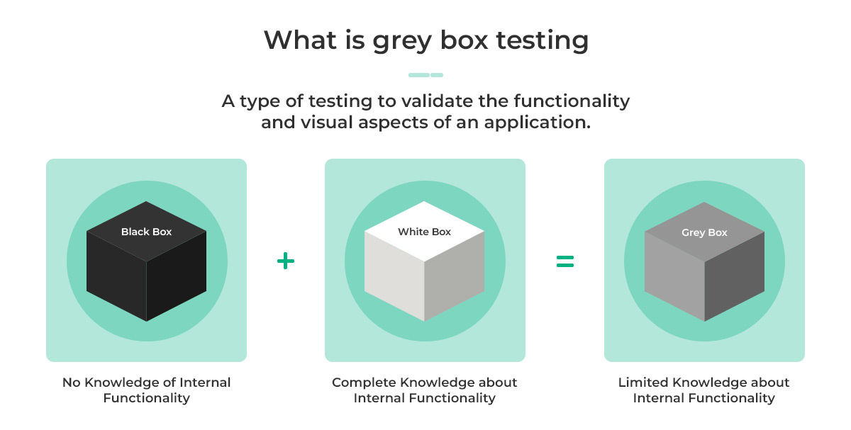 Definition of grey box testing 
